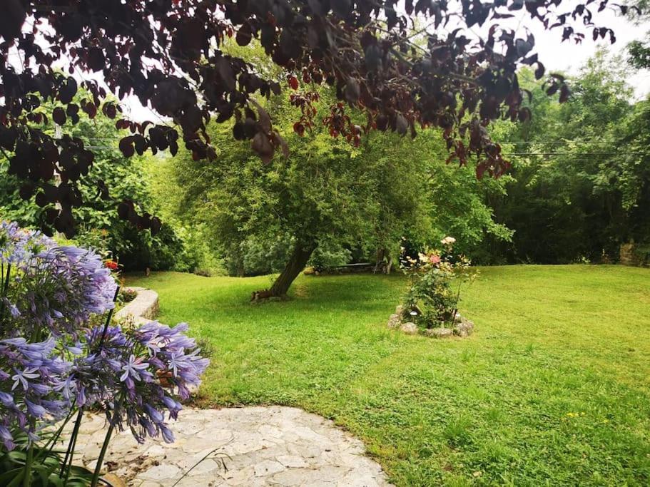La Flor De Toranzo "Vive Los Valles Pasiegos" Prases Esterno foto