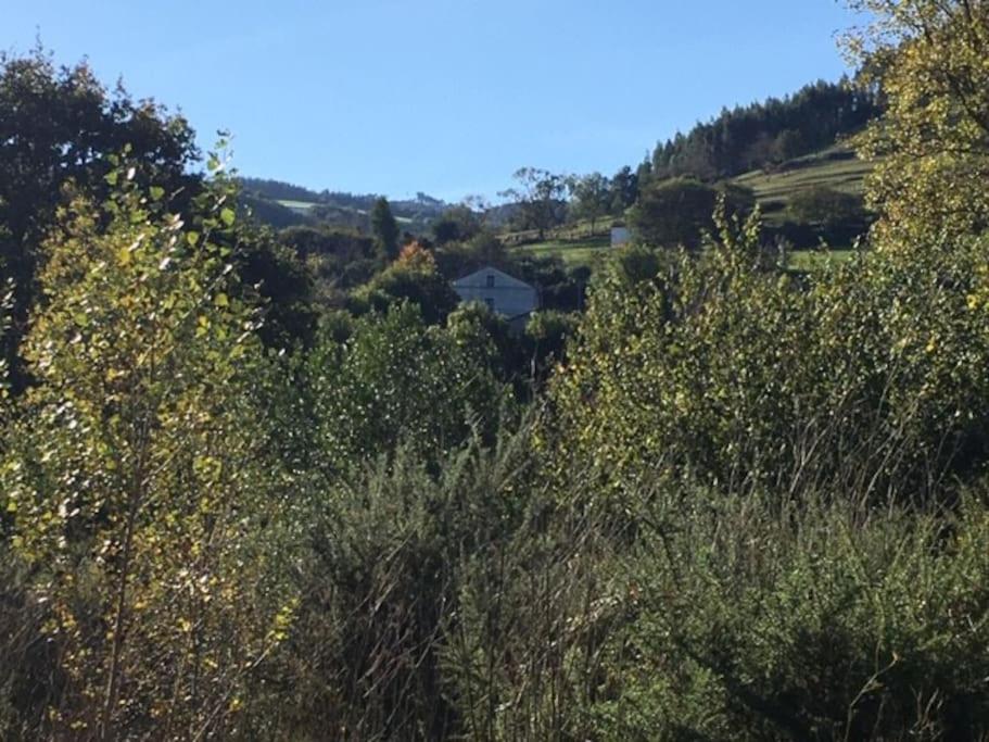 La Flor De Toranzo "Vive Los Valles Pasiegos" Prases Esterno foto