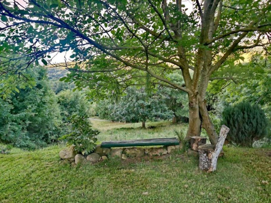 La Flor De Toranzo "Vive Los Valles Pasiegos" Prases Esterno foto