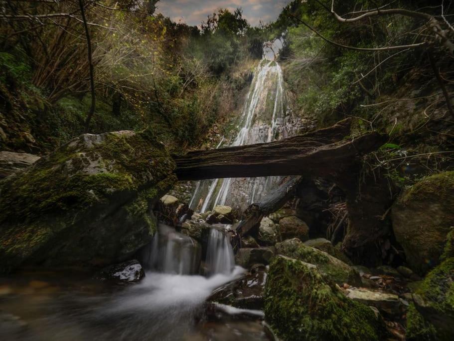 La Flor De Toranzo "Vive Los Valles Pasiegos" Prases Esterno foto